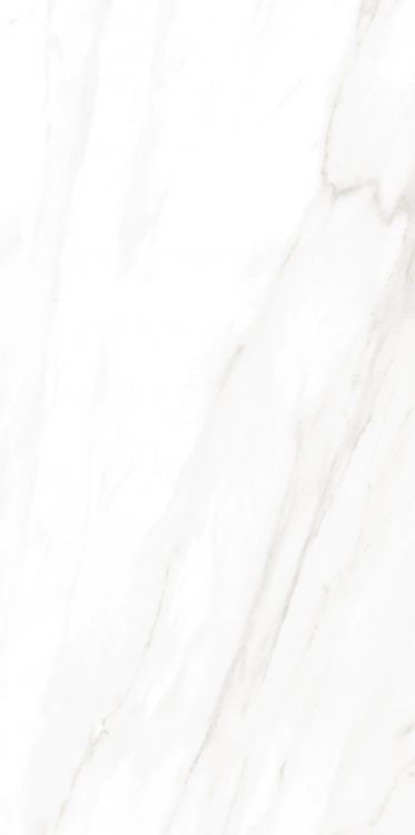 EC Calacatta Gold Matte 24 x 48